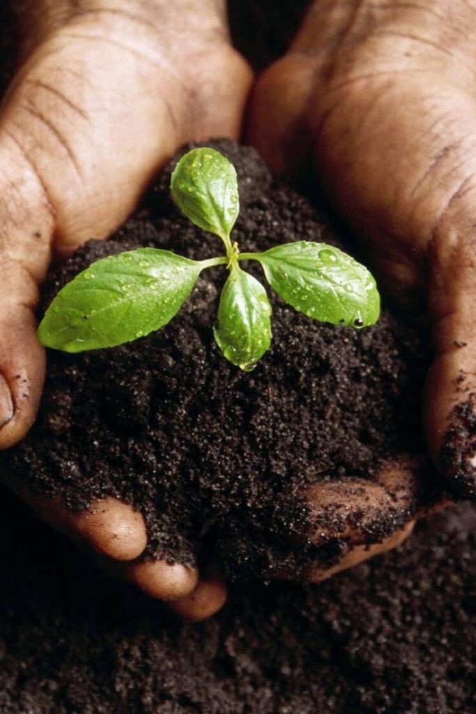 انواع کود های موجود در بازار